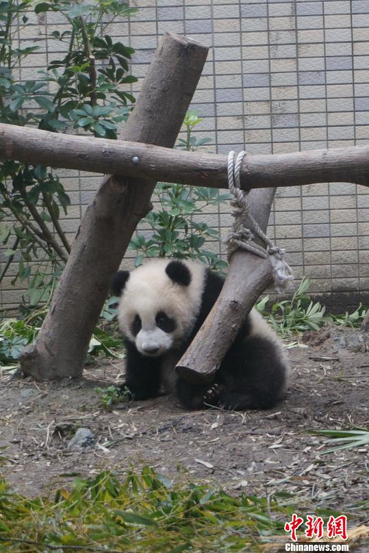 22452�˴�!���A�С�Ҋ�͵������^��ͻ��2�f(�D)