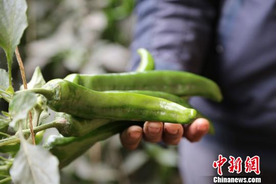 臺媒重走絲綢之路感知古老文化期待經(jīng)濟重生 臺媒重走絲綢之路感知古老文化期待經(jīng)濟重生
