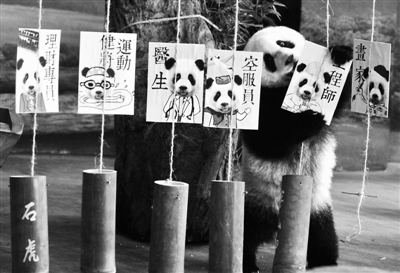 ���A�С�һ�q����