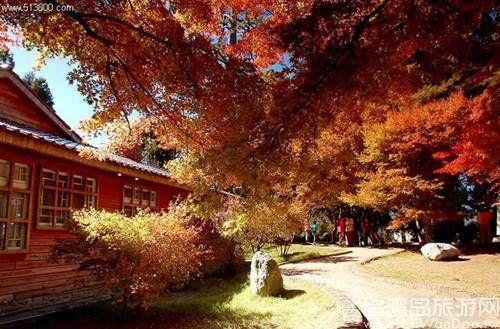 APECС�L(zh��ng)�� ���(ch��ng)�f�߾��ߵ��_(t��i)��������