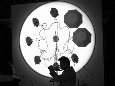 基因與藝術(shù) 基因與藝術(shù)