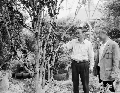 �׼��}�_�ϻ��r(n��ng)��̽��·���u�X�䡱����L�ɴ�a(ch��n)�I(y��)