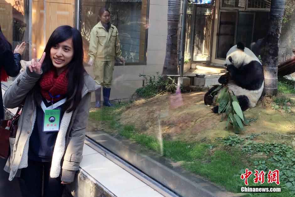 組圖:“百歲”熊貓明星巴斯受臺灣師生熱捧 組圖:“百歲”熊貓明星巴斯受臺灣師生熱捧