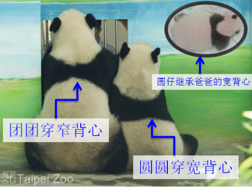 �F(tu��n)�F(tu��n)���A�A�ı����ڰ�Ҳ��ͬ�����DƬ���Y�ρ�Դ���_(t��i)����؈�ܱ����W(w��ng)��