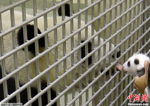 �A�г����r(sh��)��������С��ҧ��С�����M(j��n)�뱣���䯟����һ��(g��)�º����A�и����F�ڗU�c�A�A�״�Ҋ�档�A���mȻ�۾�߀δ���_���sͻȻ������ǰ�ęڗU���۴�����·�֪������������ǰ���A�AҲ���Qʾ�������r(sh��)������^���ÈA�����ڈ�(ch��ng)�ı����T��ʾ�����ā�]�� �A�A�@�ӽ��^����