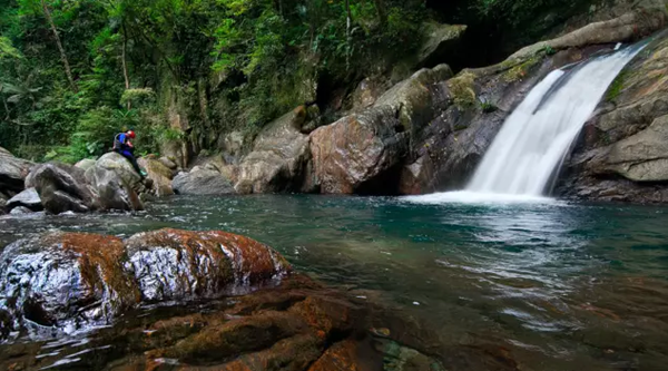 �����������݆T���֑c�_(t��i)̽�L�_(t��i)��ԭס����