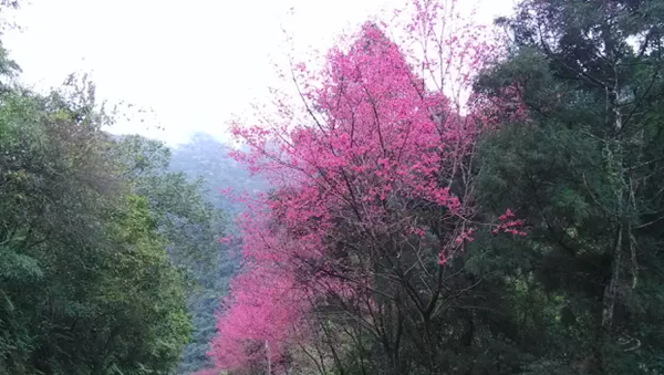 �����������݆T���֑c�_̽�L�_��ԭס����