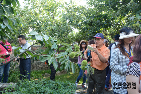 ���ۅ��L�F(tu��n)��(du��)�������c�t��ëɵɵ�ֲ����