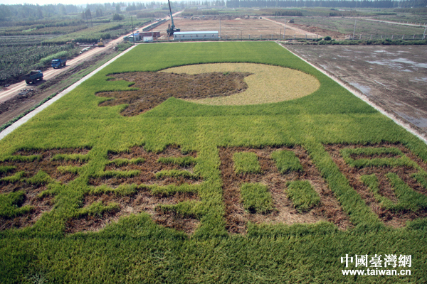 ���Տ]���_���r(n��ng)��(chu��ng)�I(y��)�@��(n��i)һ�������Ї��_���W(w��ng) ����Ȼ �z