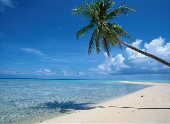 �o�fӭ�����(qi��ng)?�����@Щ���������Y�����Ŀ���ٵ�