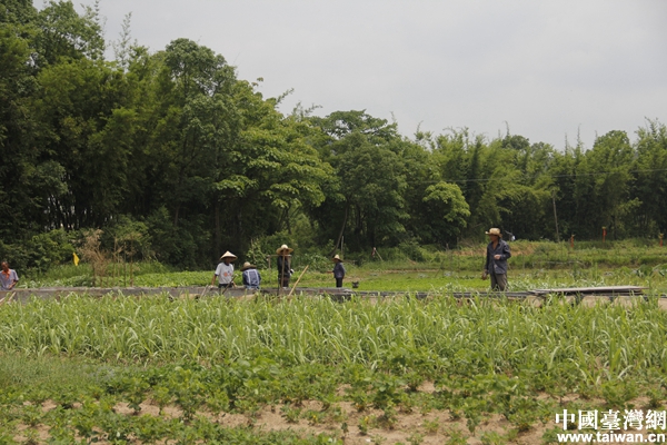 【鏡頭中的脫貧故事】精準扶貧為農(nóng)戶增收找出路 【鏡頭中的脫貧故事】精準扶貧為農(nóng)戶增收找出路