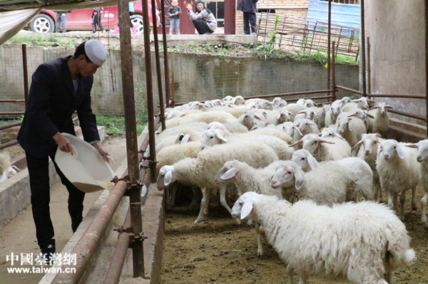 �t�Ǵ�����R������ι����