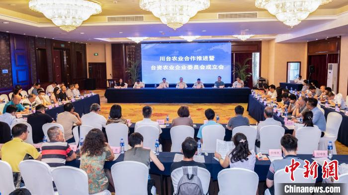 �D���ӬF�����Ĵ�ʡ�_�k���D