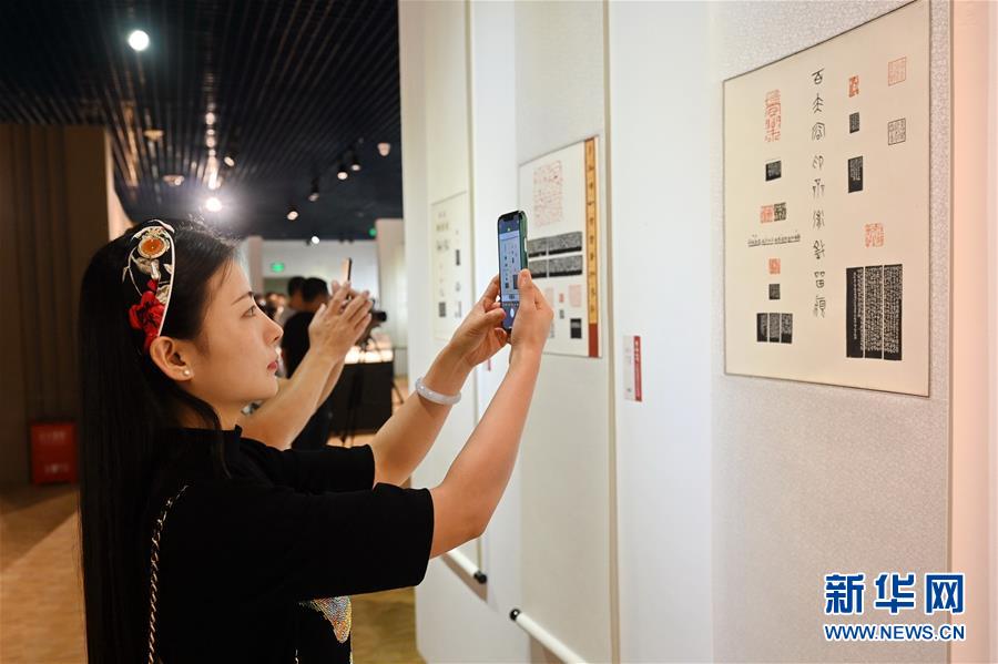 (文化)(1)第五屆海峽兩岸中青年篆刻大賽作品在福州亮相