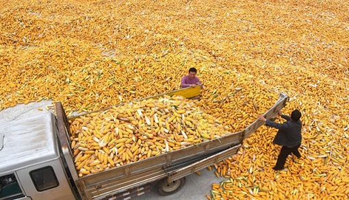 ��¶�r��(ji��)�ի@æ