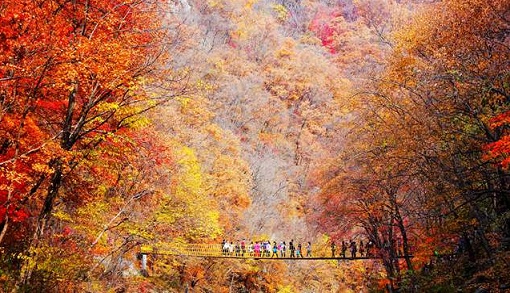 �����{(di��o)ɫ��