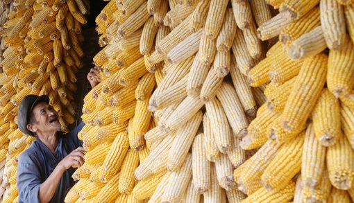 �S�յ�ϲ��