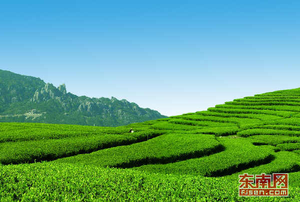 �����ײ�