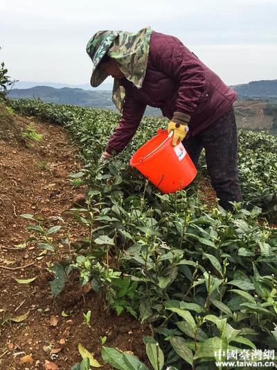 ���L�F(tu��n)һ�Ѕ��^�����I(y��)�����Ї��_���W(w��ng)ӛ�� ���� �z��