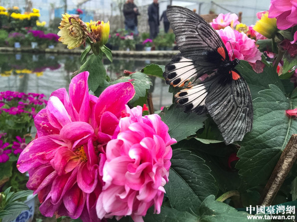 ȫ��(gu��)�W(w��ng)�j(lu��)ý�w���M(j��n)�Ї�(gu��)��ؚ��һ�塪��������Ϫ�����Ї�(gu��)�_(t��i)���W(w��ng)ӛ�� ���� �z��