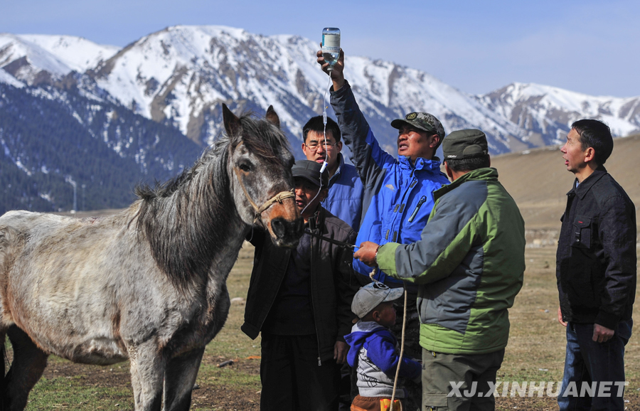 ���x���� �����B�Ę򡱡��½��_(k��i)չ���L����,������,�����ġ����(d��ng)�o(j��)��(sh��)