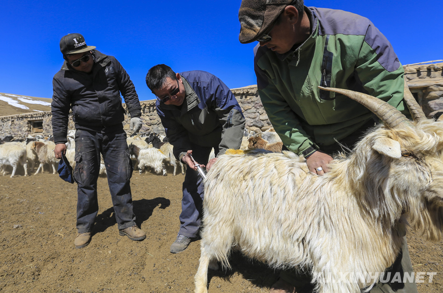 ���x���� �����B�Ę򡱡��½��_չ���L����,������,�����ġ���Ӽo(j��)��(sh��)