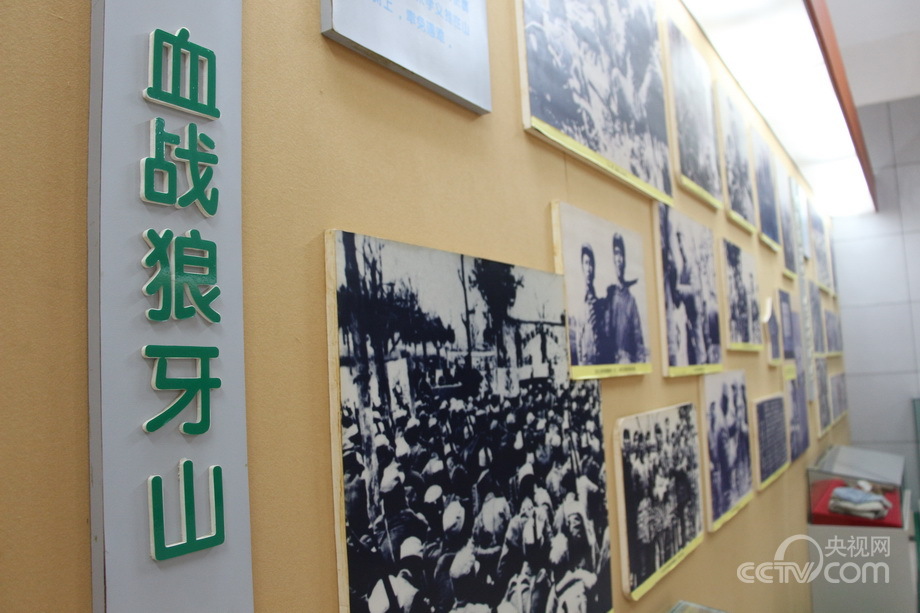 Ӣ���������ҵİ��