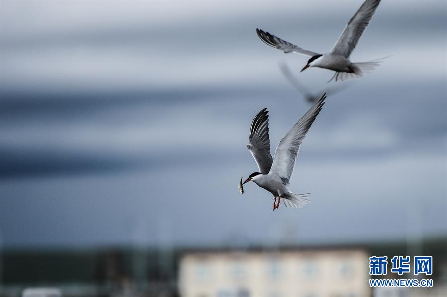 (�D�Ļ���)(10)����r�������(f��)�d�ĉ������¡������ڡ��Ї��������������֮�H