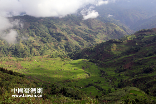 Ԫ�(y��ng)����