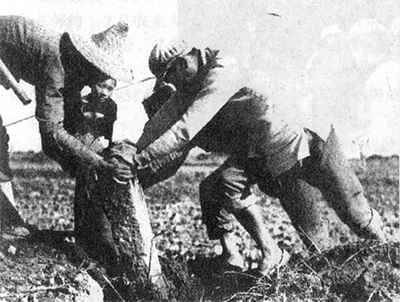 �����ظĸ﷨������ʩ�� �����\(y��n)��(d��ng)ȫ��չ�_(k��i)