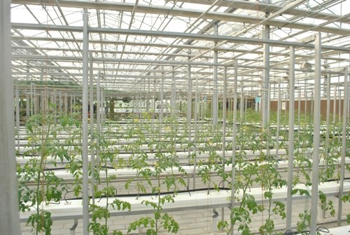 �W(w��ng)ý�����:�_�ń�(chu��ng)�����������~����H������