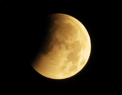 ���������^��Ԫ����(ji��)�������ݰ�Ӱ��ʳ(�D)